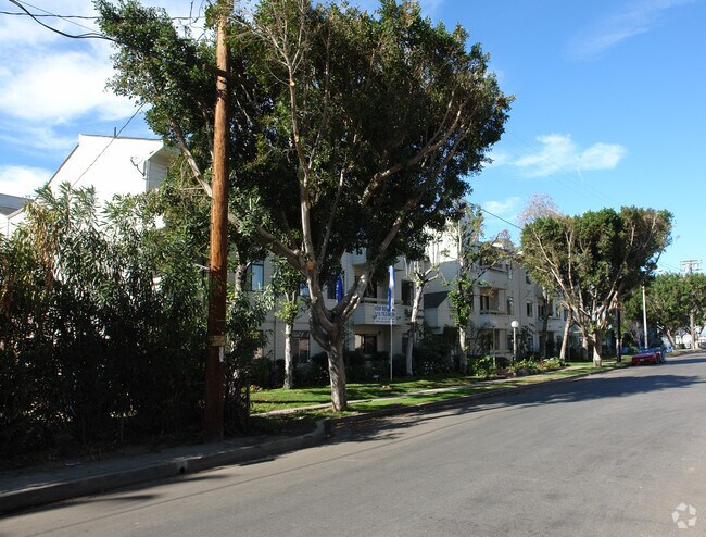tree obstruction - 5315 Harmony Ave
