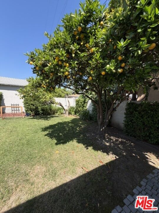 Building Photo - 1768 S Fairfax Ave