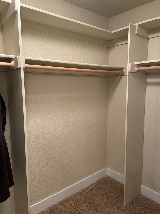 Building Photo - Beautiful 4 Bed 3 Bath House in Northeast Fort Collins!