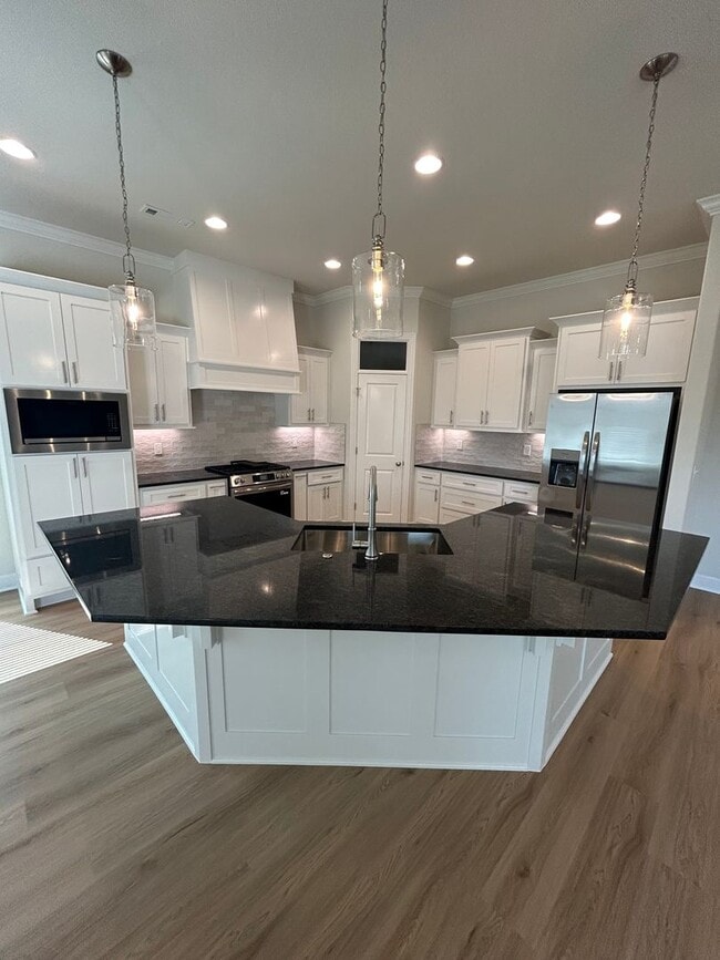Building Photo - Brand New 4 bed 2.5 bath Modern Build in P...