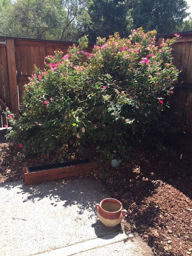 Building Photo - 3 Bedroom 1.5 bath in Covell Commons HOA i...