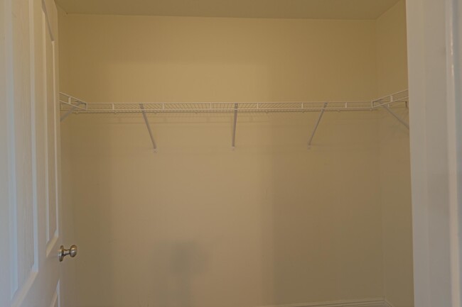 Building Photo - 2099 Wilsons Plover Cir