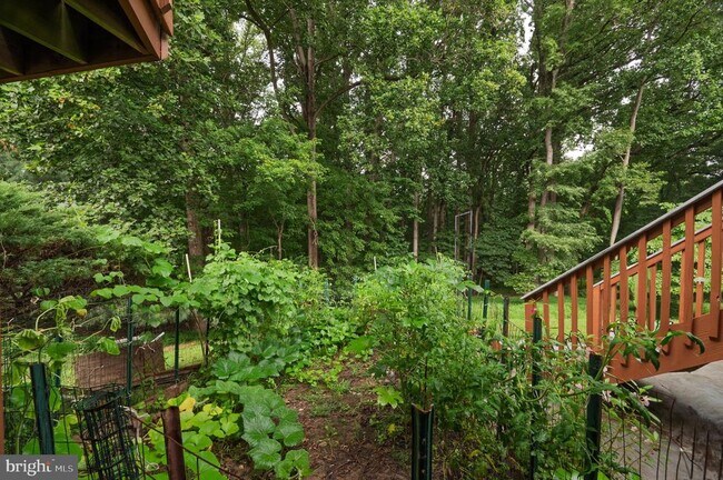 Building Photo - 14917 Brownstone Dr