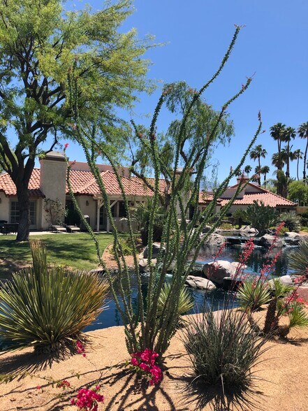 vies of condo from other side of stream - 116 Avellino Cir