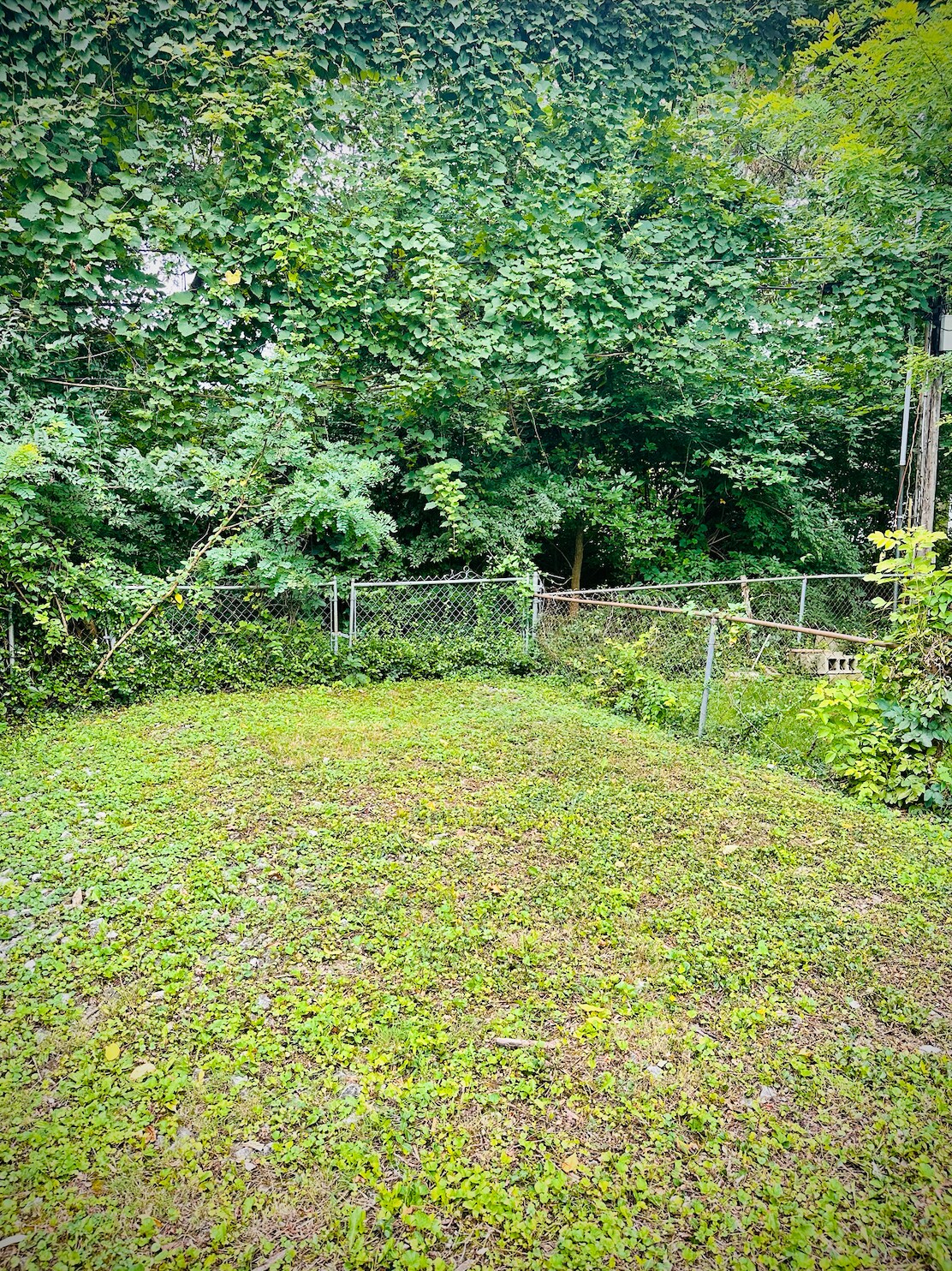 Building Photo - 1119 W 8th St