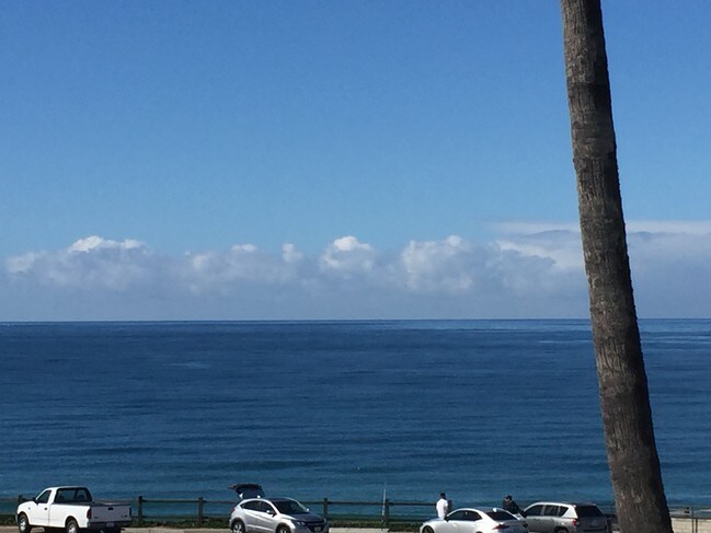 View from living room - 308 Paseo De La Playa