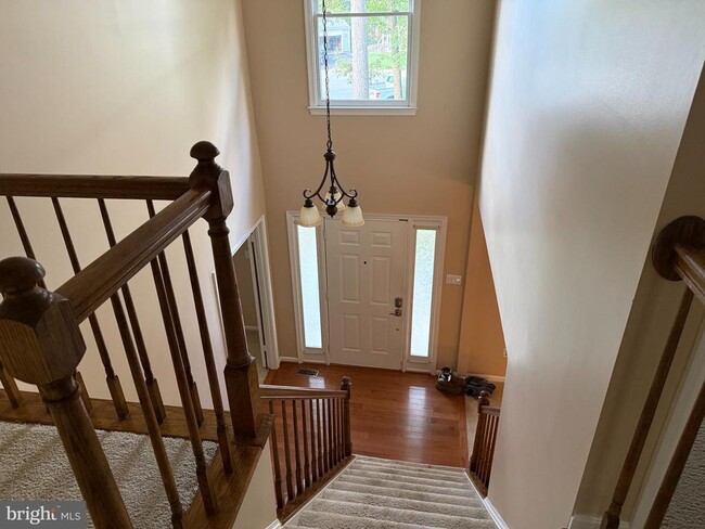 Building Photo - 3869 Appaloosa Dr