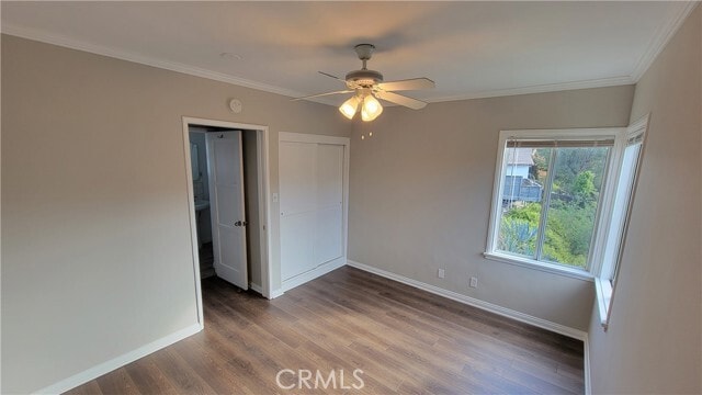 Building Photo - 254 Thorne St