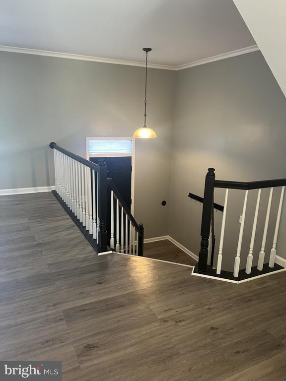 Building Photo - 1208 Athens Ct