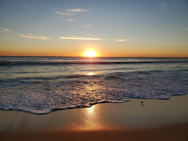 Building Photo - 5530 N Ocean Blvd