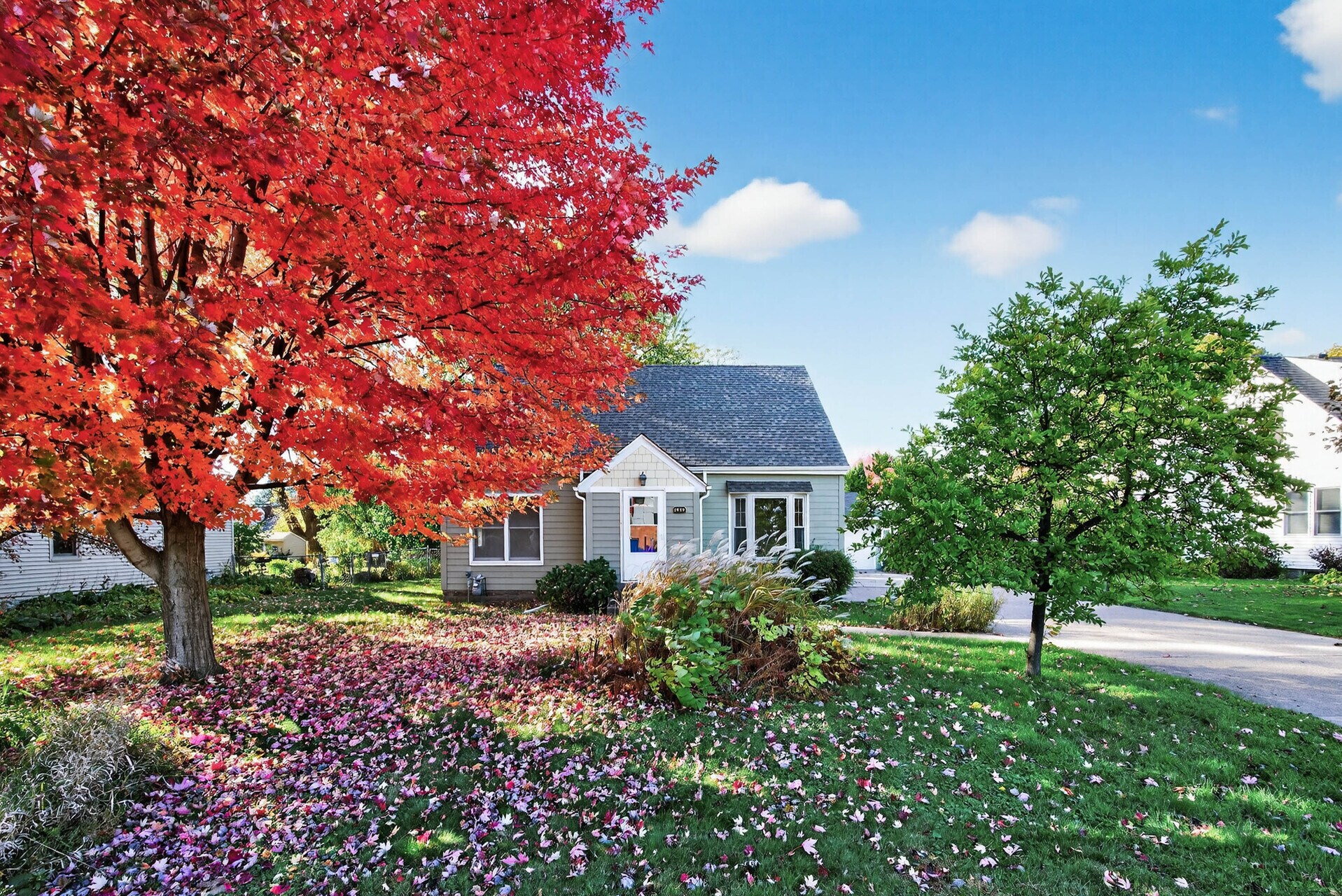 Building Photo - 1049 Sterling St N