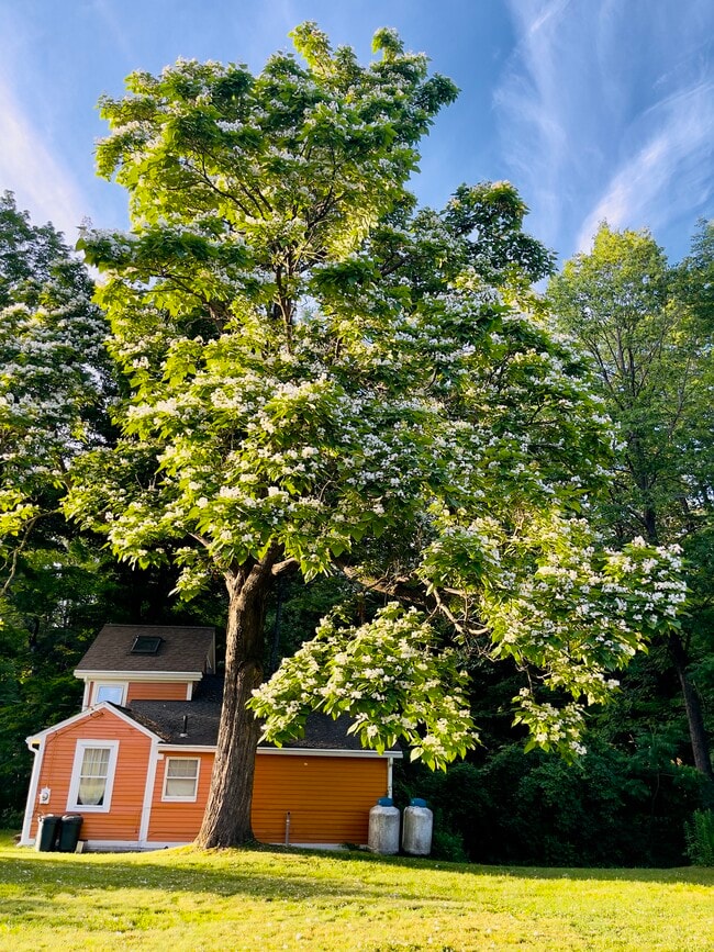 Building Photo - 256 Shelburne Falls Rd