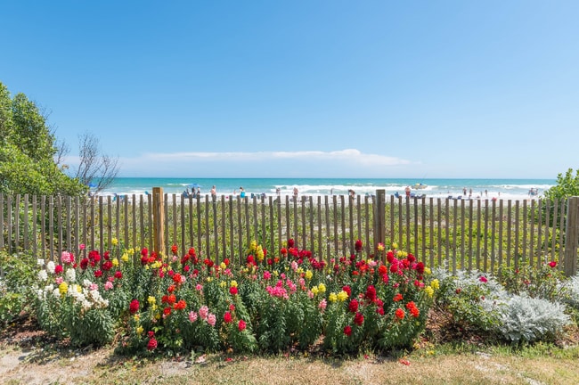 Building Photo - 7200 N Ocean Blvd