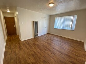 Living Room w/ extra storage closet - 955 16th St