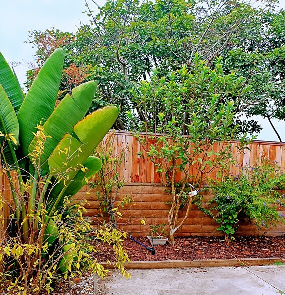Building Photo - 1474 Tennis Match Way