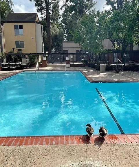 Building Photo - "Charming 1-Bedroom Oasis in the Heart of San Diego!"
