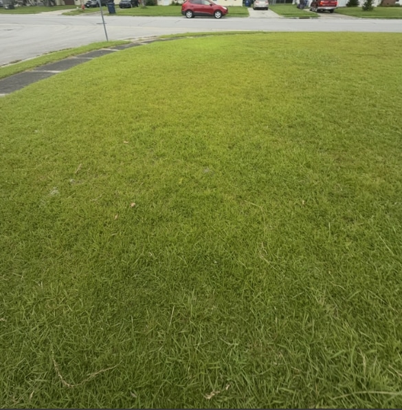 Building Photo - 101 Garden Pl