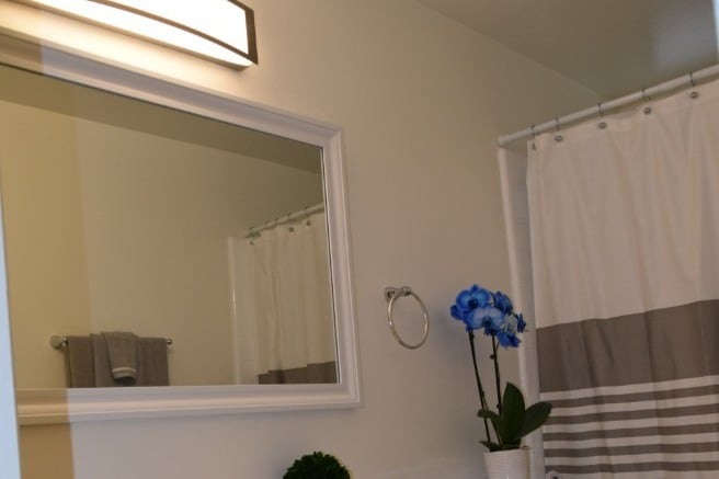 Renovated Guest Bathroom - 1945 Evergreen St
