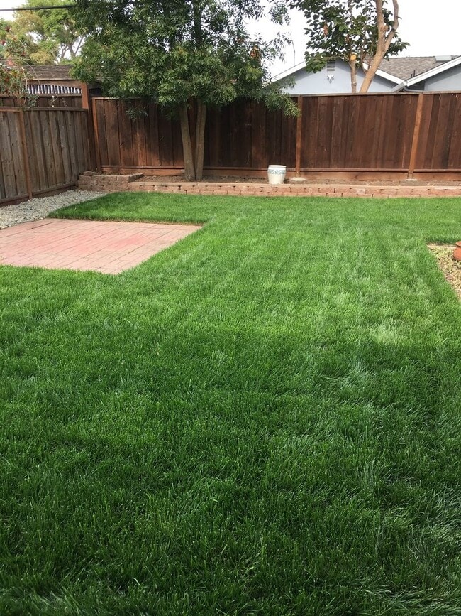 Building Photo - Cozy Ranch Style Home in the Heart of Campbell