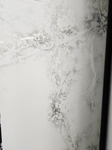 Building Photo - 1349 Valencia Loop