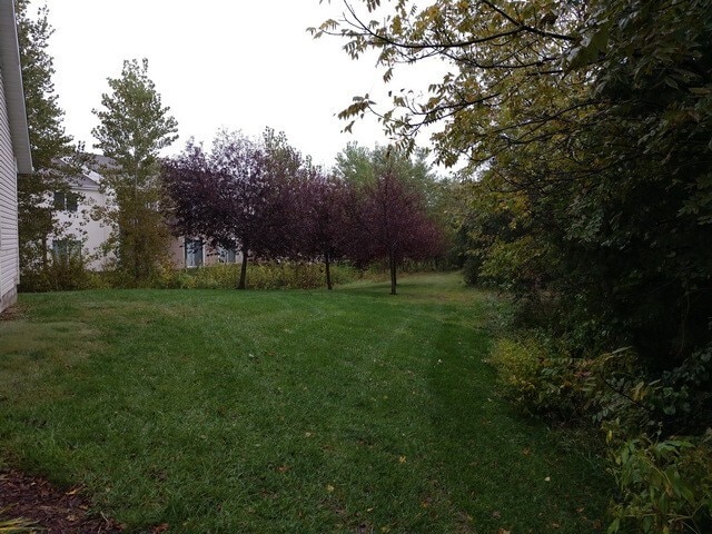 Building Photo - Large 3 Bed/ 2 Bath Townhome on West Side!