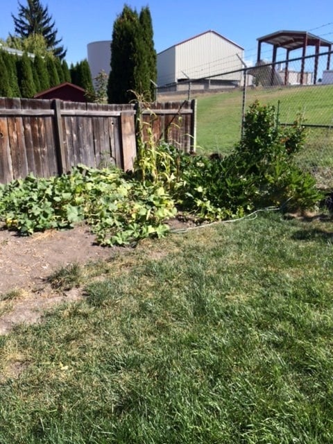 Building Photo - 3 Bedroom 2 Bathroom Home in Fantastic Location