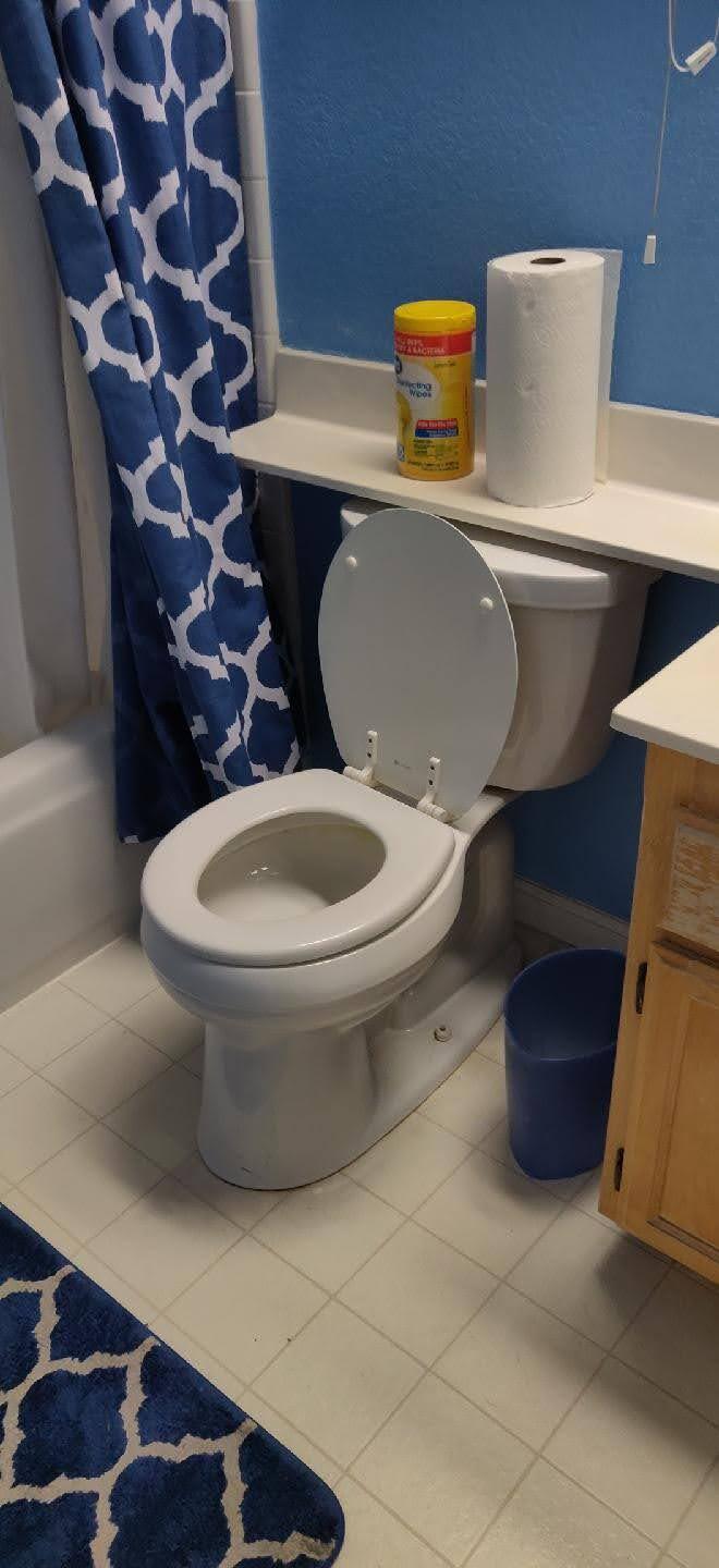 Downstairs toilet - 1812 Tahoe Pl