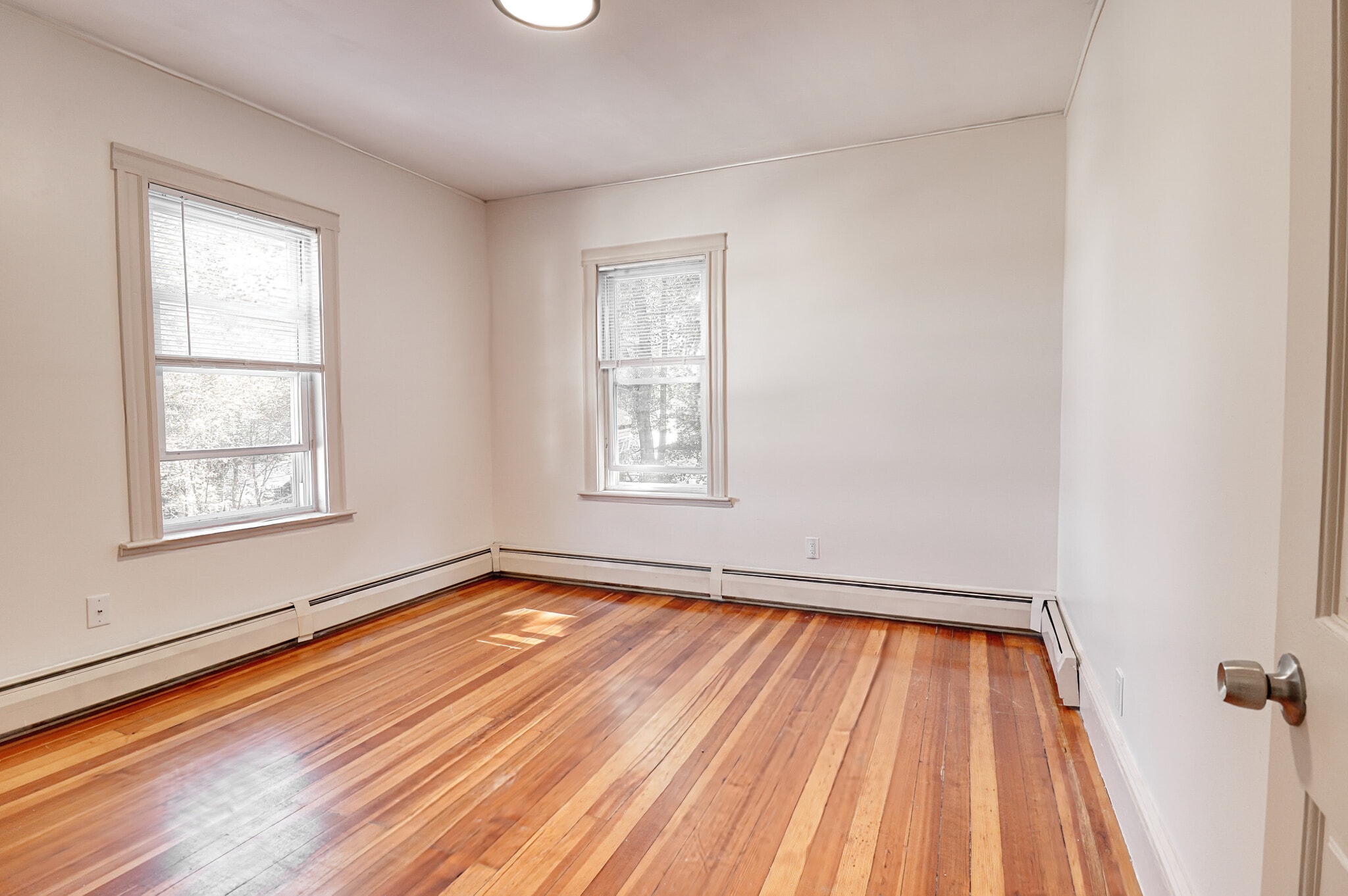 Building Photo - 267 Ames St
