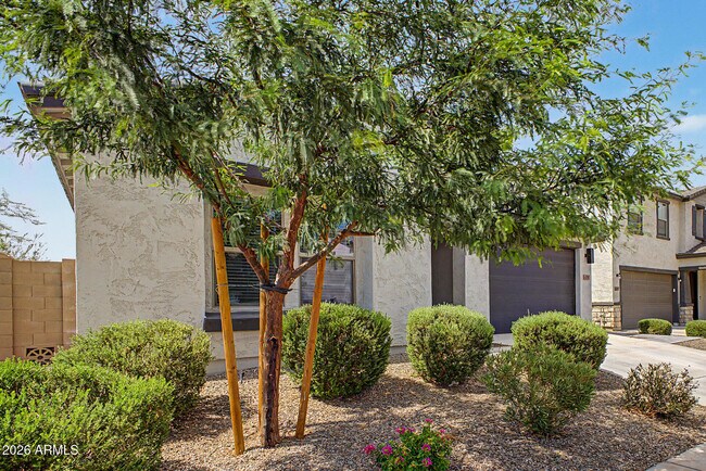 Building Photo - 42385 W Rojo Ct