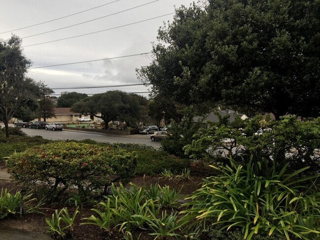 Building Photo - Great 2 Bedroom 2 Bath Condo in Seaside