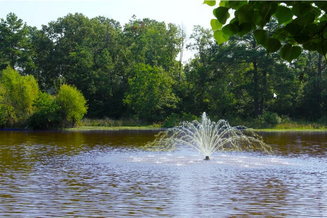 Lakefront Apartments Fountain - Lakefront Apartments