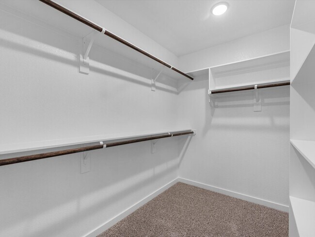 Building Photo - 10602 Burgundy Berry Wy