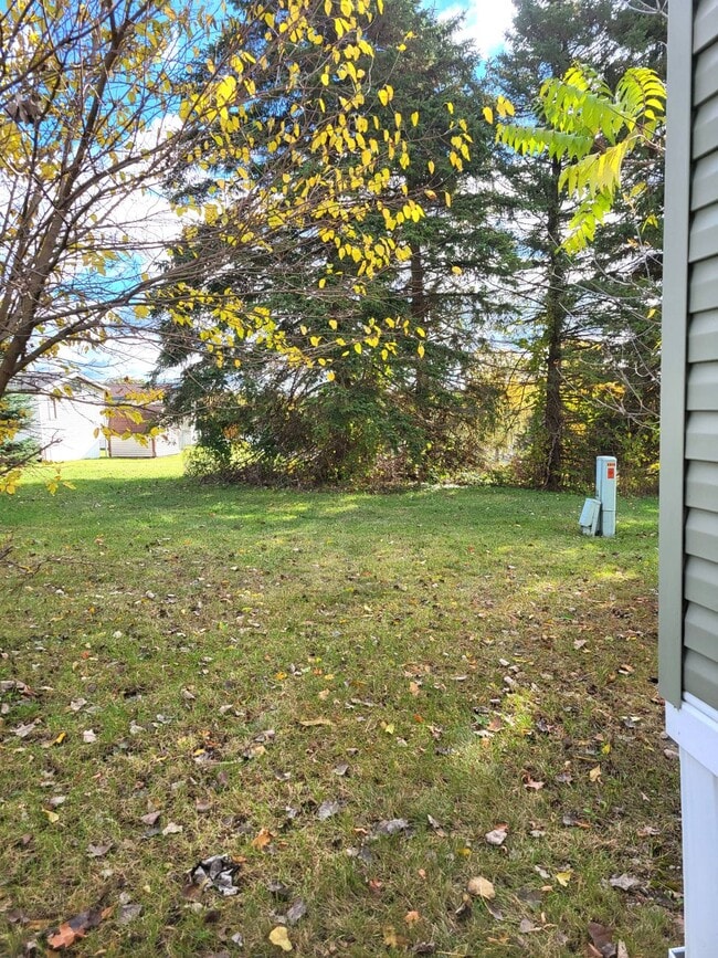 Building Photo - 4151 Clement St