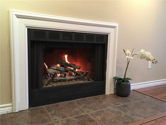 Building Photo - 1216 Brashear Ln