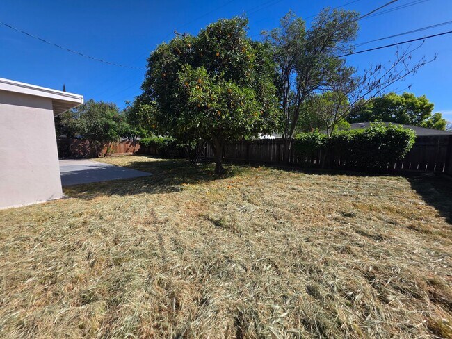 Building Photo - Remodeled Single Story in College neighborhood!