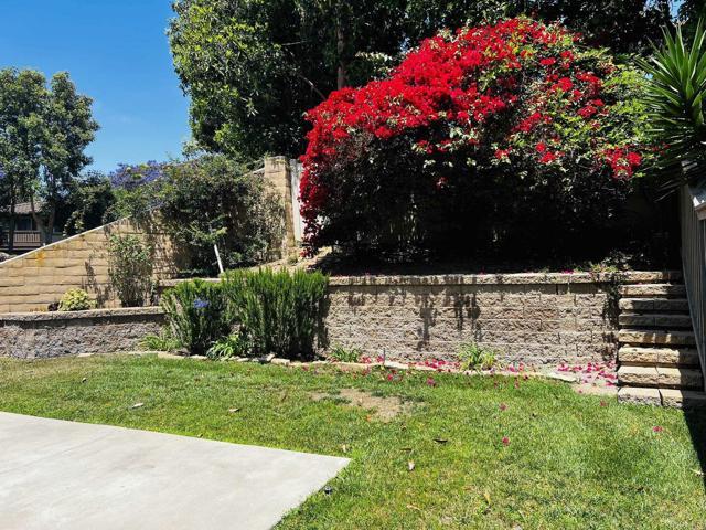Building Photo - 6033 Paseo Hermosa
