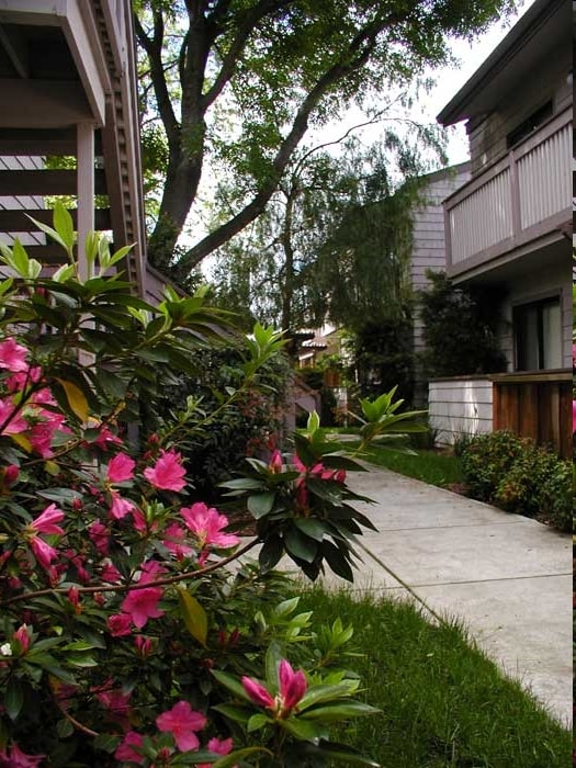 Building Photo - Cambridge Arms Condominiums