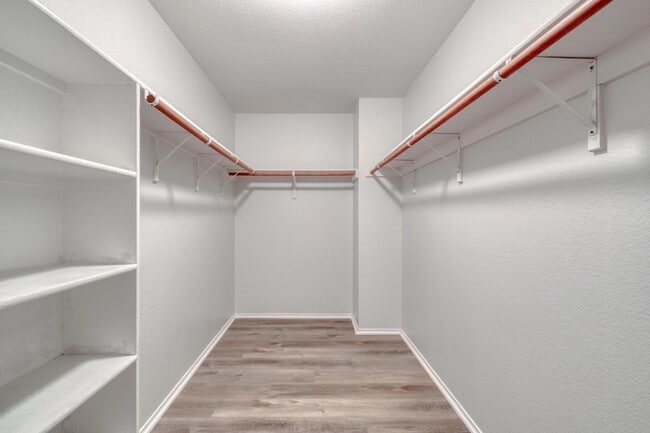 Building Photo - 9104 China Rose Dr