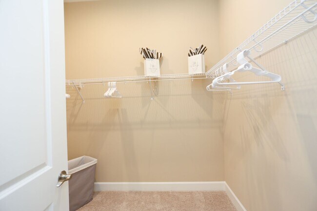 Building Photo - BRAND NEW** STUNNING POOL HOME**PROFESSIONALLY DECORATED**3 BEDS + DEN/ 3 FULL BATHS***ESPLANADE ...