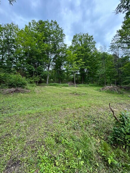 Backyard - 1538 Slaterville Rd