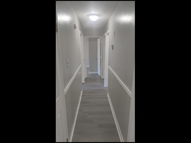 Building Photo - 203 Winchester Trail