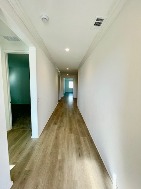 Building Photo - 2538 Wild Rose St