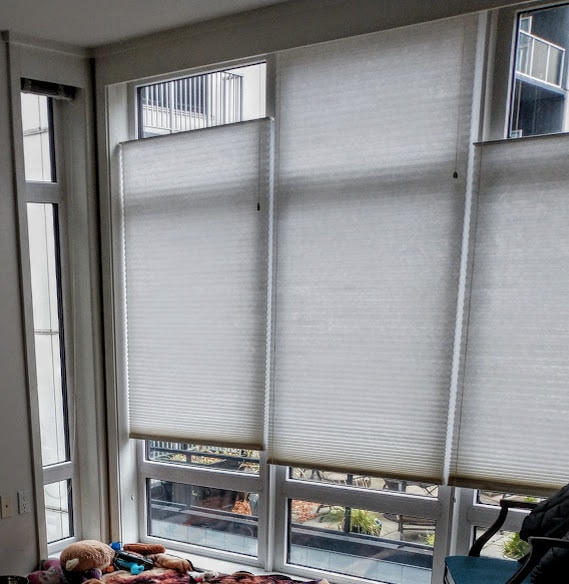 TopDownBottomUp Insulating Cellulars throughout keep heat in the winter and repel direct summer sun - 2721 1st Ave