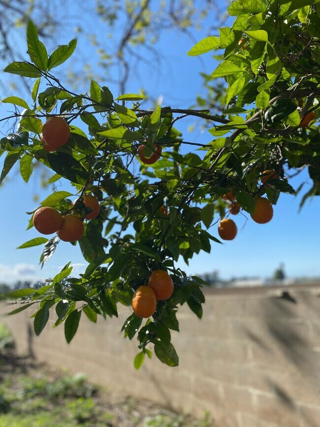 Building Photo - 1650-1650 W Los Angeles Ave