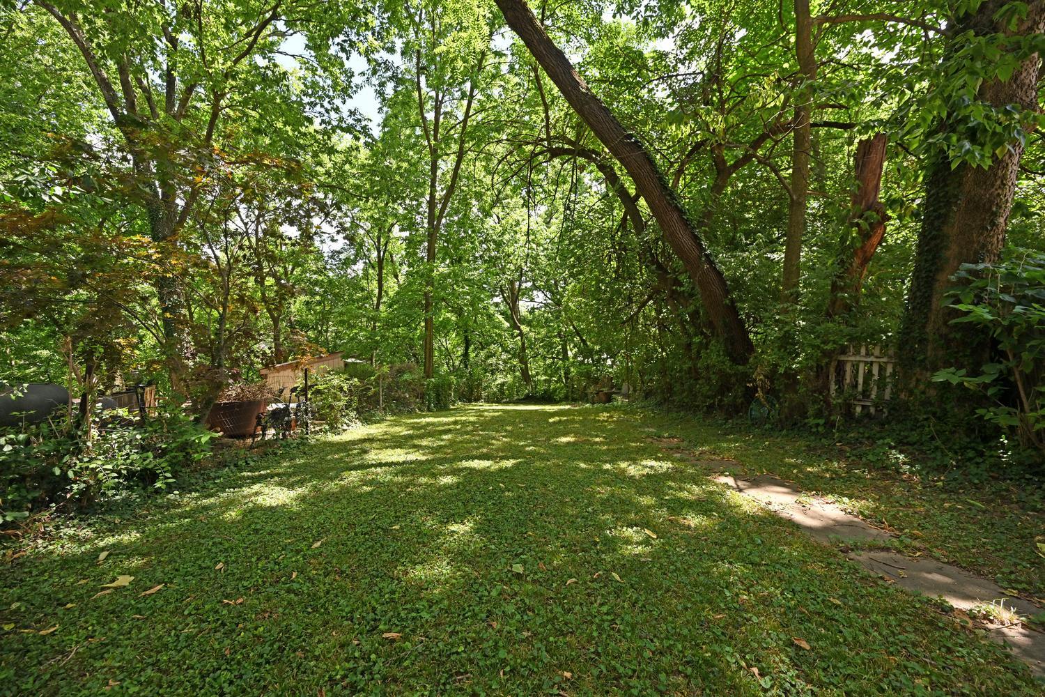 Back yard - 475 Riddle Rd