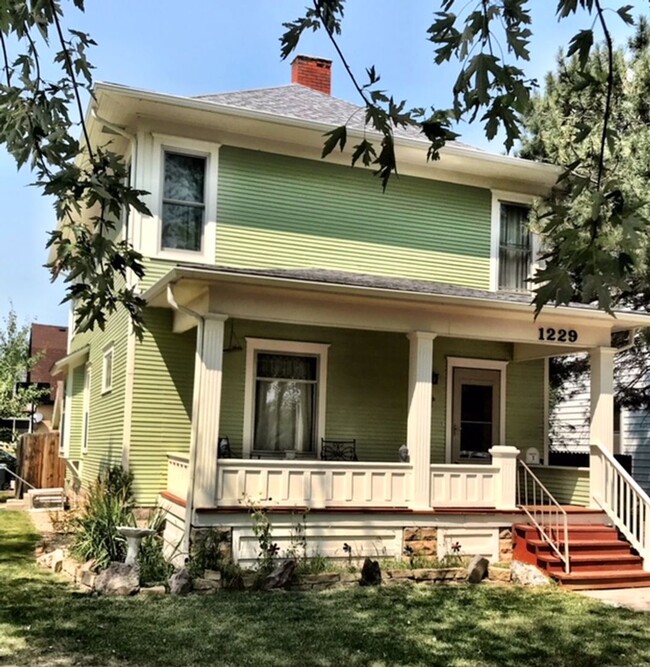 Primary Photo - 1229 7th St