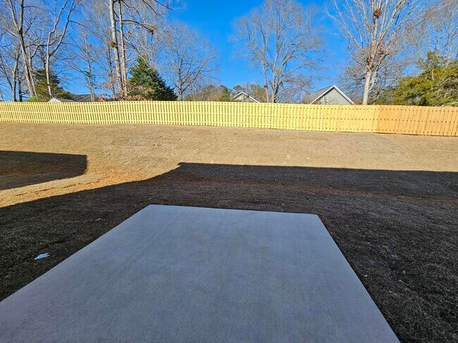 Building Photo - Brand new home in Chapin 5/3