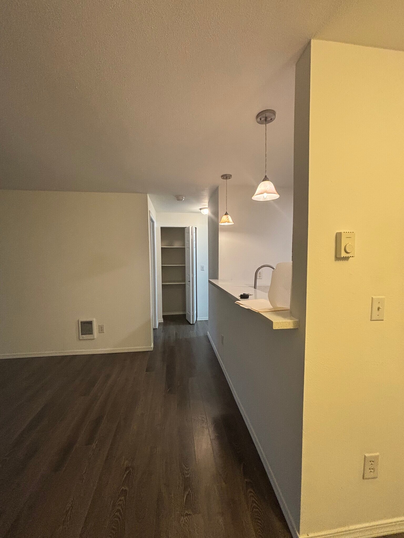 hallway closet - 22831 30th Ave S