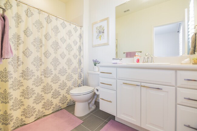 Guest Bathroom - 856 White Moonstone Loop