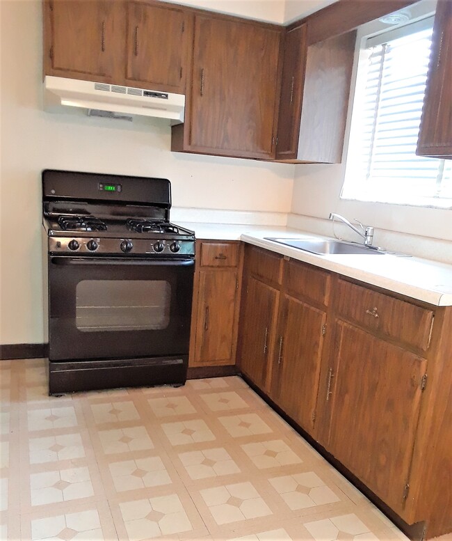 Spacious kitchen - 404 Brierly Ln